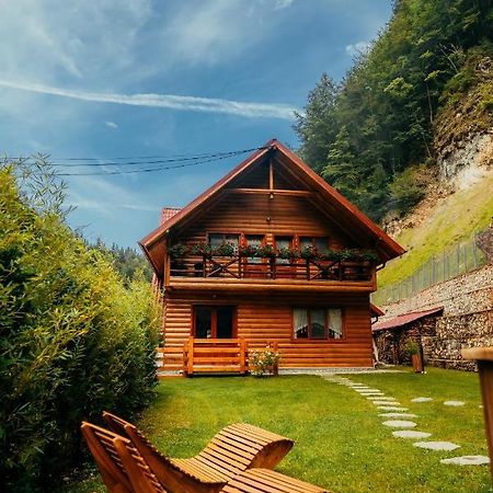 Casa Cheile Dâmbovicioarei - Cabana 2 Dîmbovicioara Exterior foto